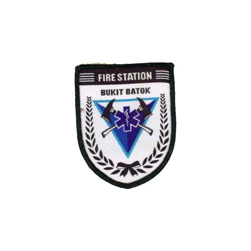 SIN1