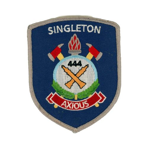 Singleton-Fire-MS